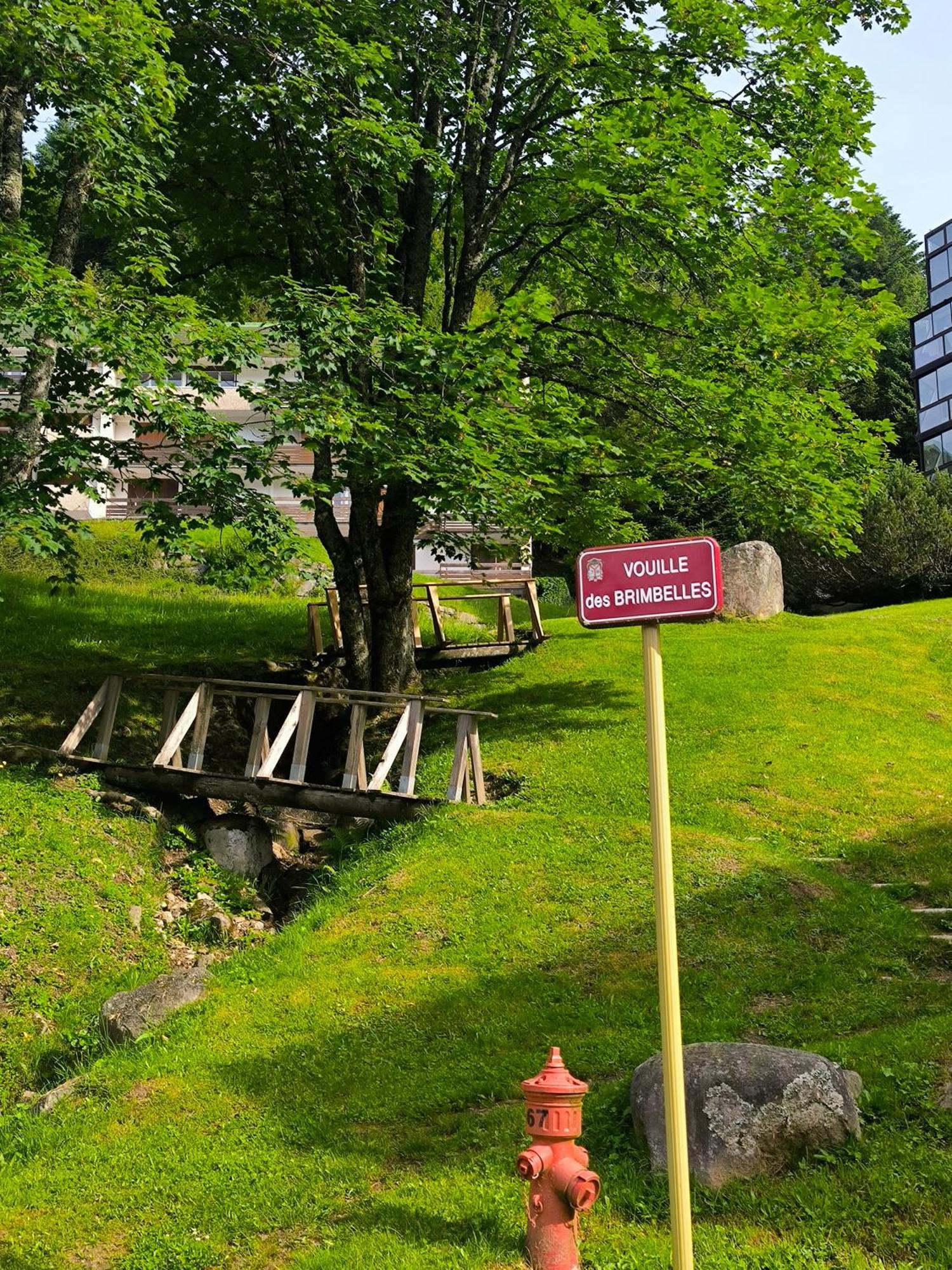 La Bulle Des Sapins Apartment La Bresse Luaran gambar